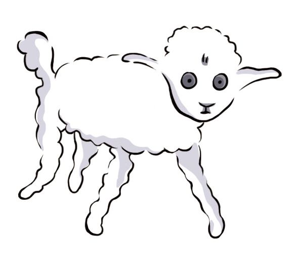 05
